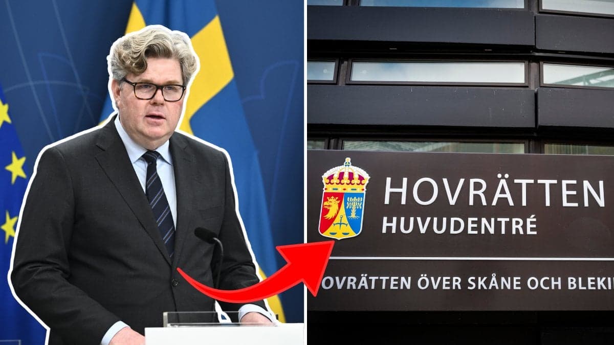 Gunnar Strömmer och Hovrätten