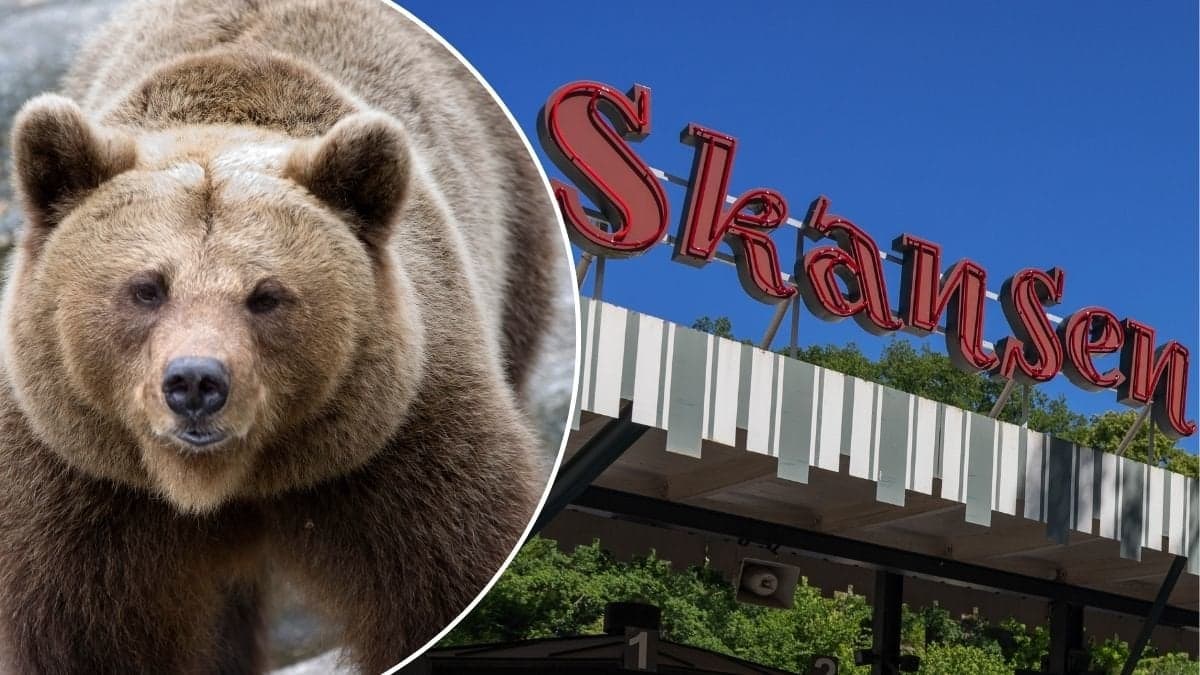 Bilder på Skansens entré och en björn.