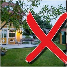 Trädgård och svenska pengar.