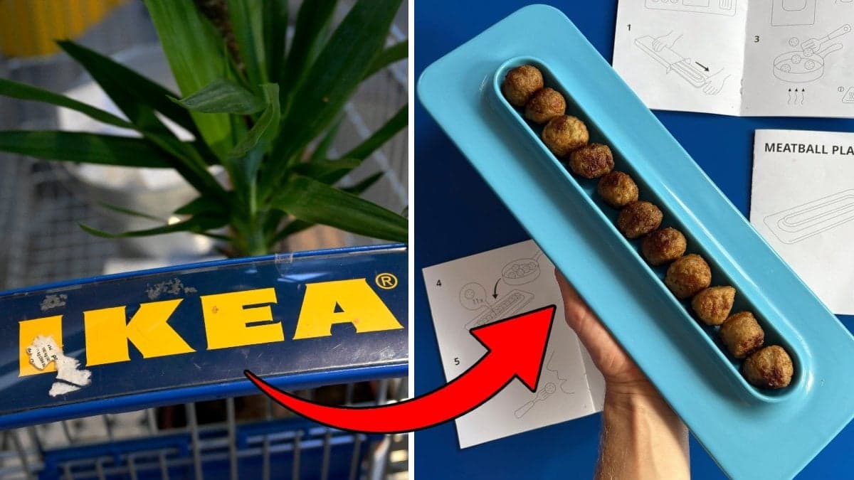 Bild på Ikeaskundvagn och Ikeas köttbulletallrik.