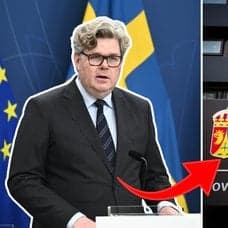 Gunnar Strömmer och Hovrätten