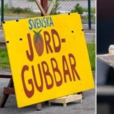 En skylt där det står svenska jordgubbar och en tallrik med jordgubbar som en kvinna äter ifrån.