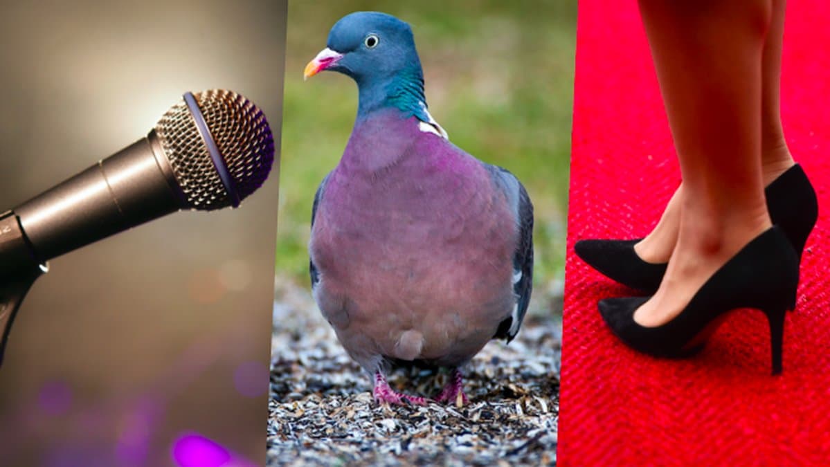 Finns-lagen-pa-riktigt