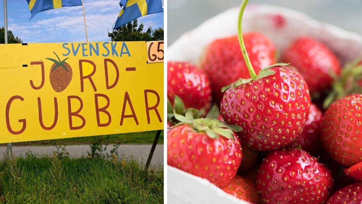 Bilder på svenska jordgubbar och en skylt.