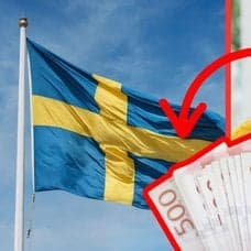 svensk flagga, pengar, kvinna med dator