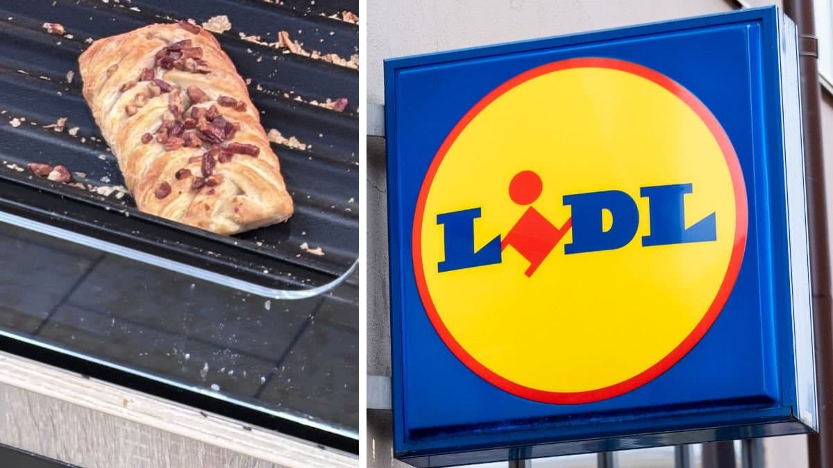 Bild på fikabröd, myror och en Lidl-skylt.