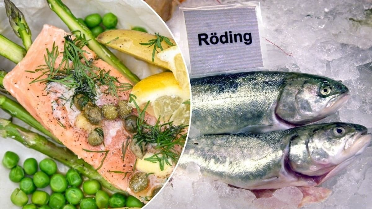 Lax och röding.