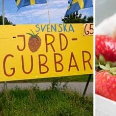 Bilder på svenska jordgubbar och en skylt.