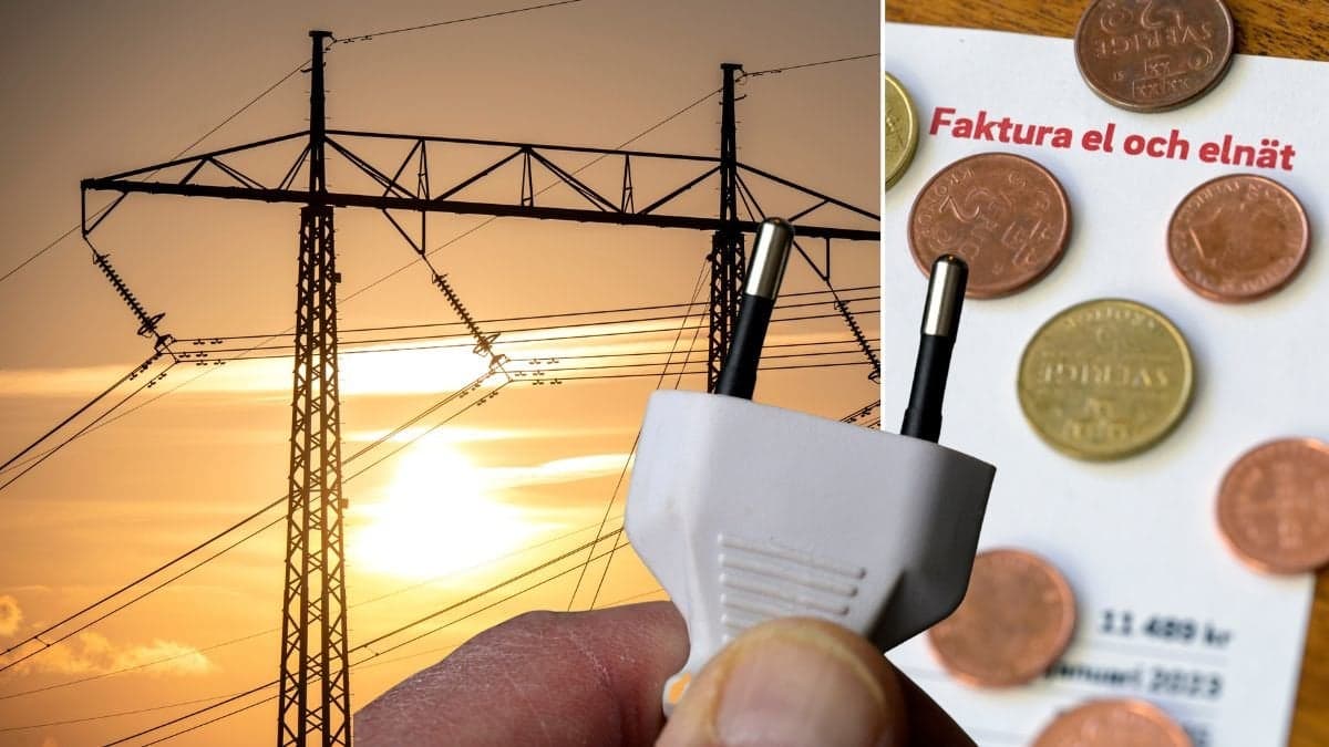 Trots det trögare tempot vill många stora elslukare in på nätet.