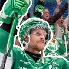 Rögle supportrar i bakgrunden. Rögle BKs lagkapten Anton Bengtsson utklippt till vänster.