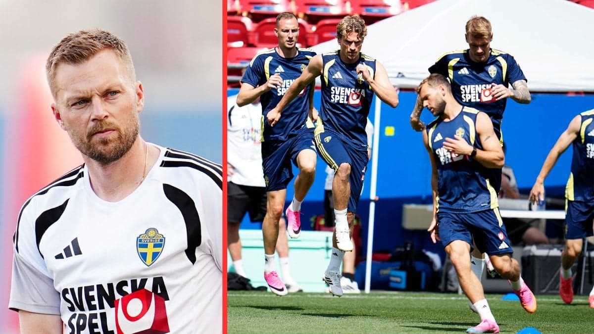 Sebastian Larsson, Sveriges spelare