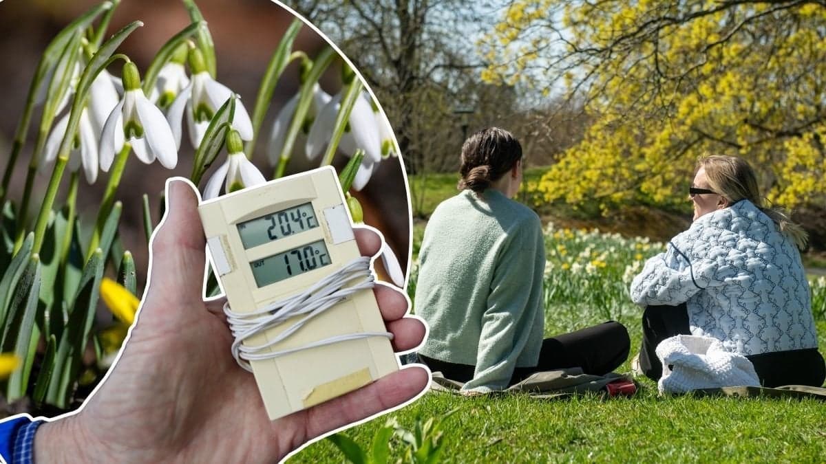 Bilder på en termometer, vårblommor och en äng med tjejer som har picknick.