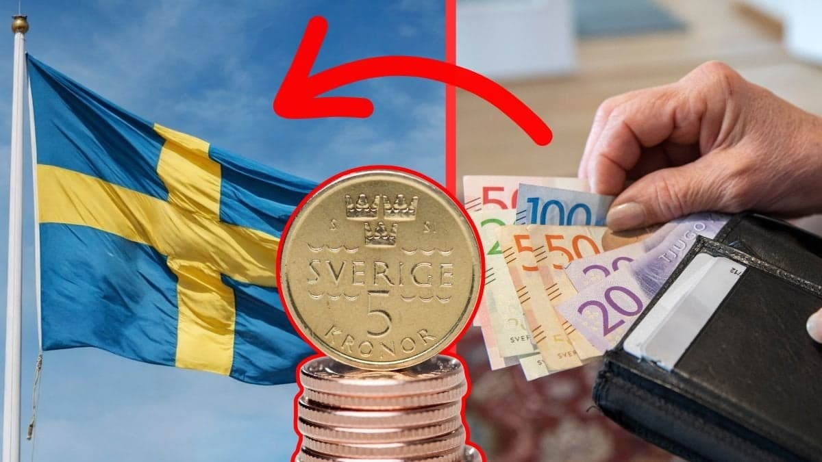 svensk flagga. plånbok, svenska mynt