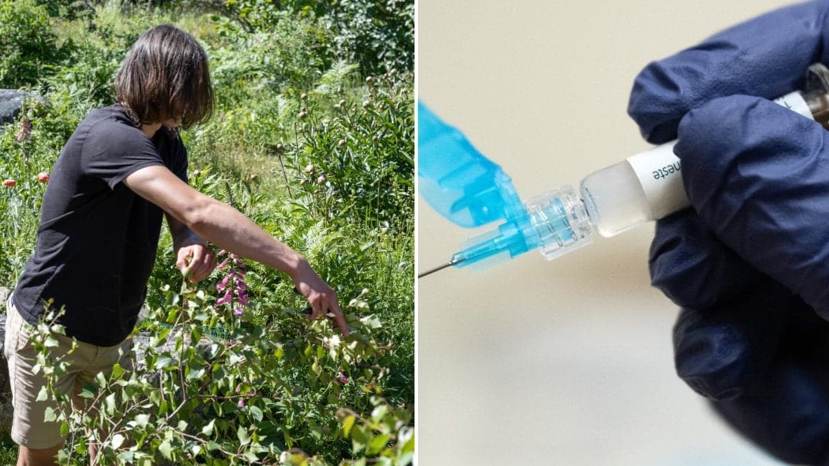 En ung klipper buskar och en spruta med HPV-vaccinet. 