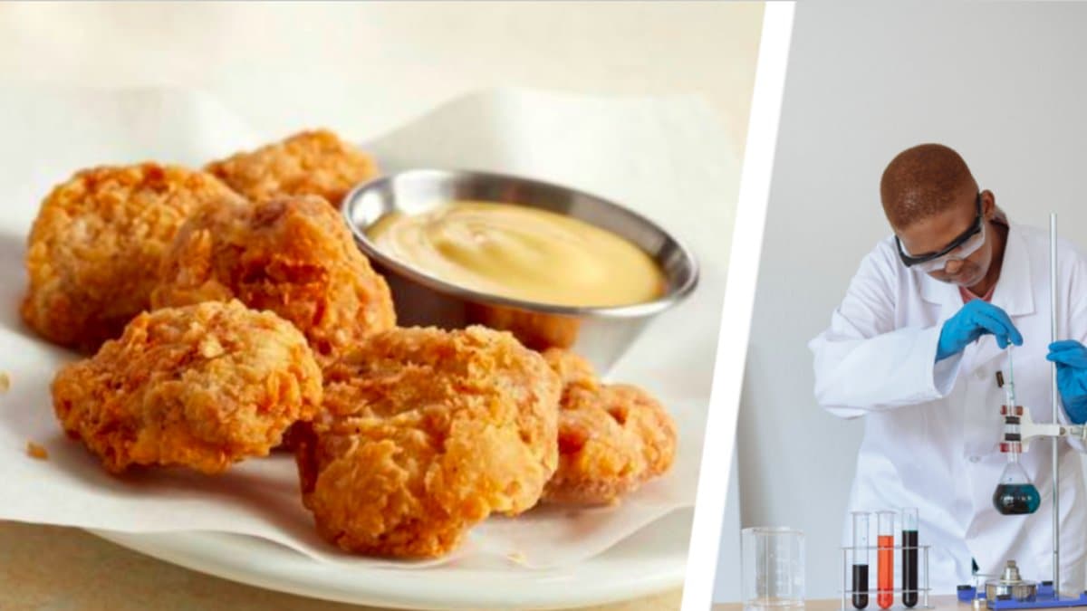 Labbdolat kött har godkänts i Singapore.