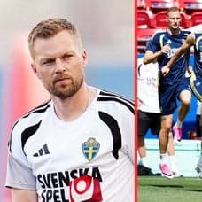 Sebastian Larsson, Sveriges spelare