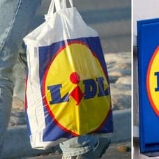 Bild på en Lidl-skylt och en Lidl-bärkasse.