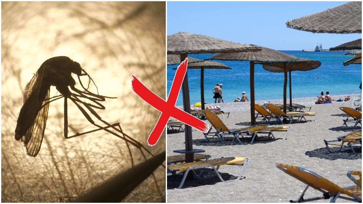Mygga och sandstrand med parasol