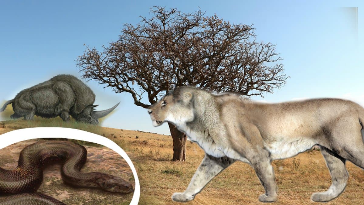 Djur som levde för miljoner år sedan