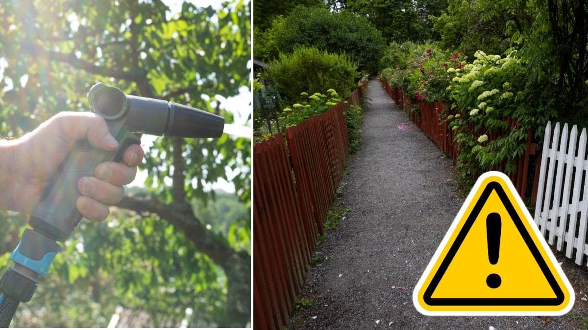 En man vattnar sin trädgård med en trädgårdsslang och ett koloniområde.