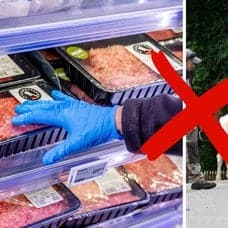 Kött och Kor som går 