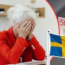 ledsen tant, svensk flagga, plånbok