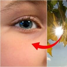 Ögon och solljus