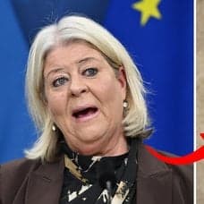 Politiker och övervakningskameror