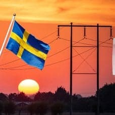Elledning/elverk och svenska pengar i en plånbok.