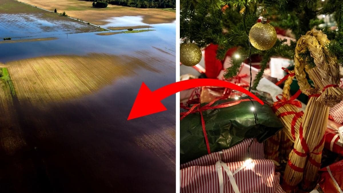 Översvämmad åker och julklappar