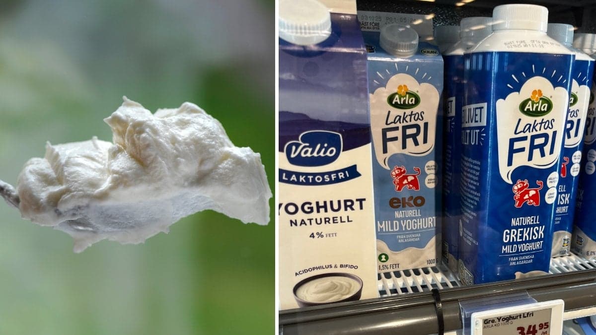 Bilder på yoghurt.