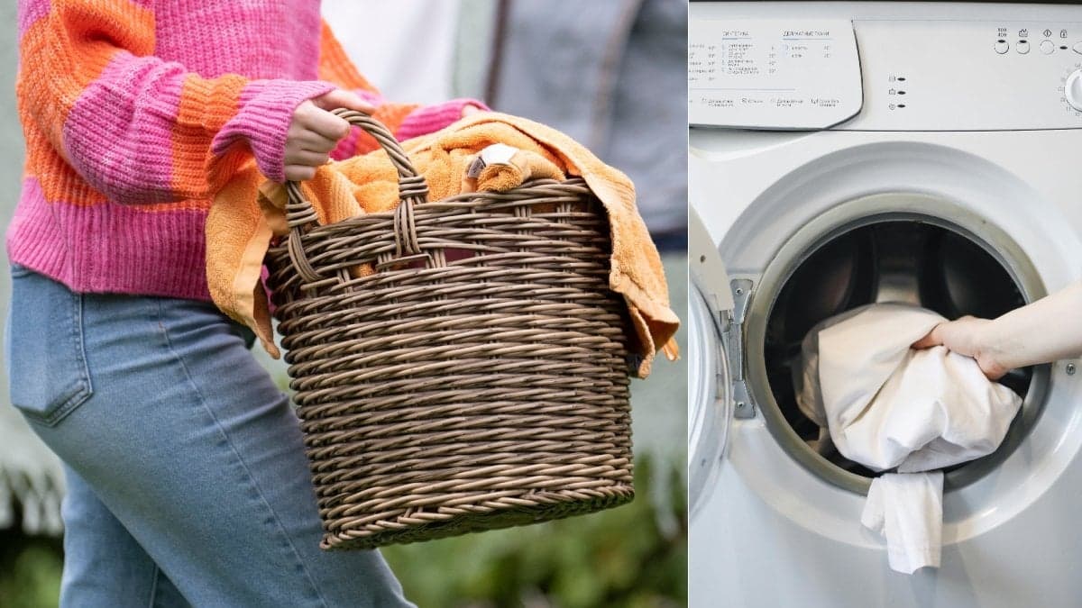 Bilder på tvätt och en korg med tvätt.