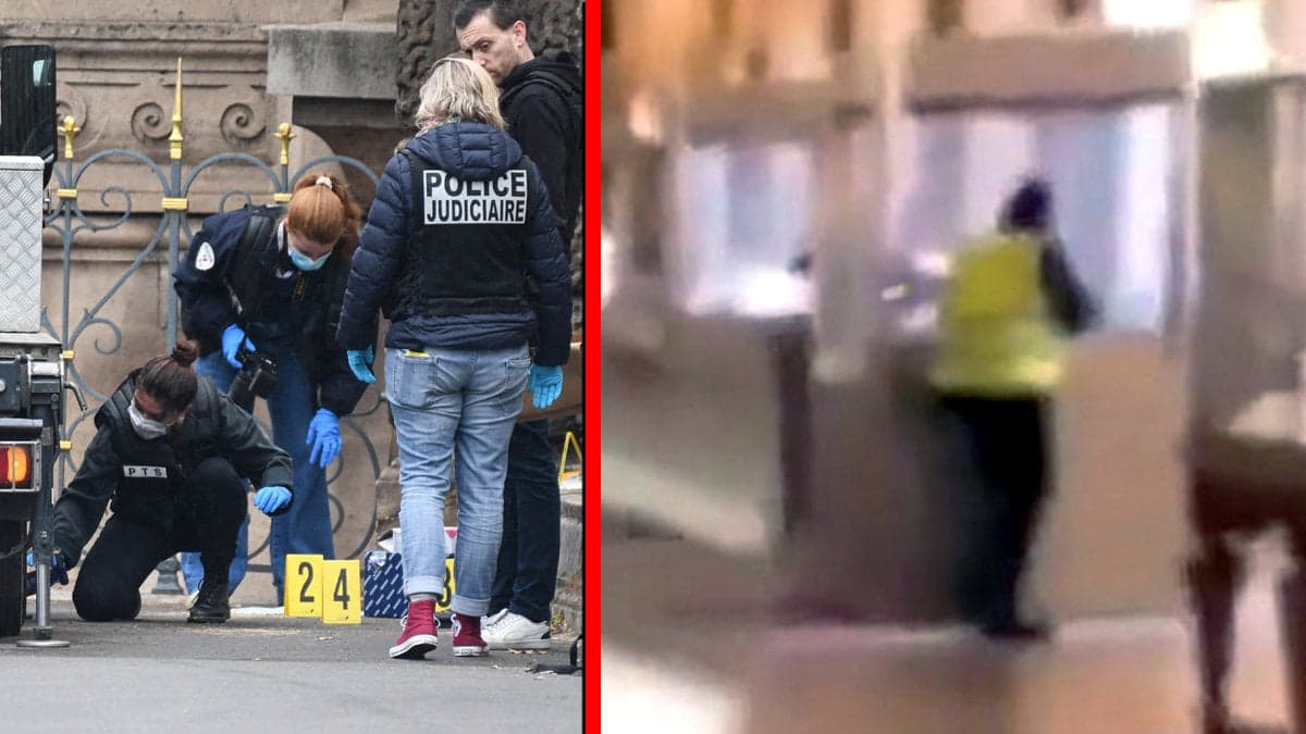 Fräck stöldkupp på Louvre