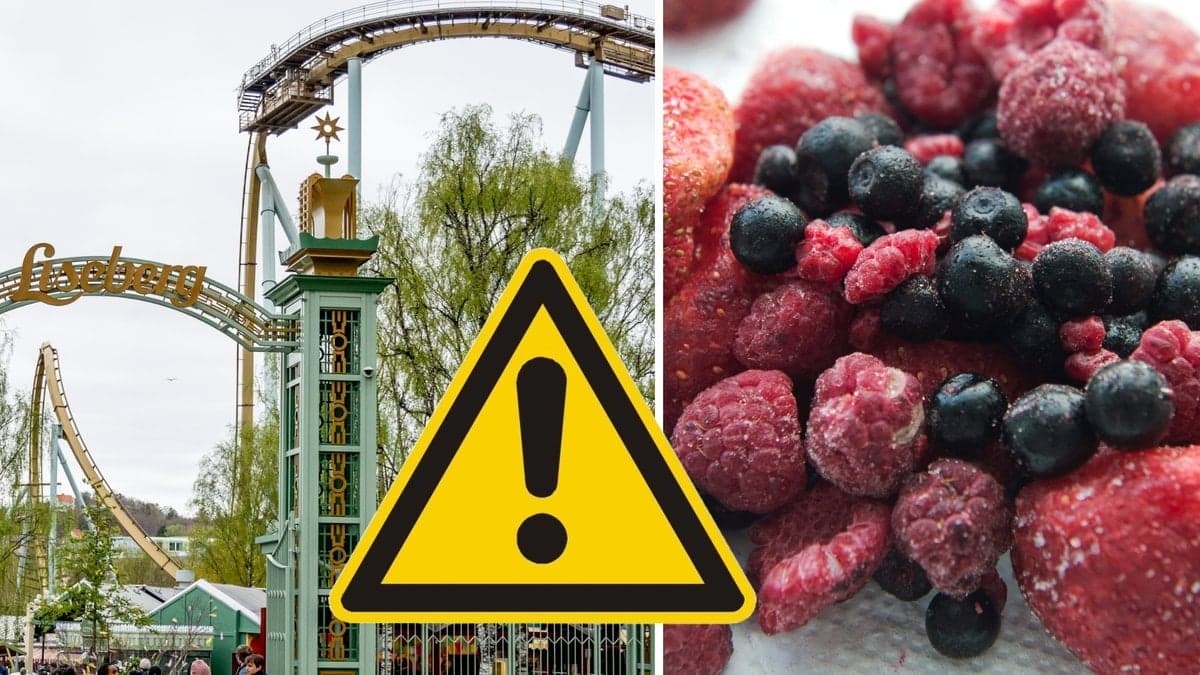 Liseberg och frysta bär