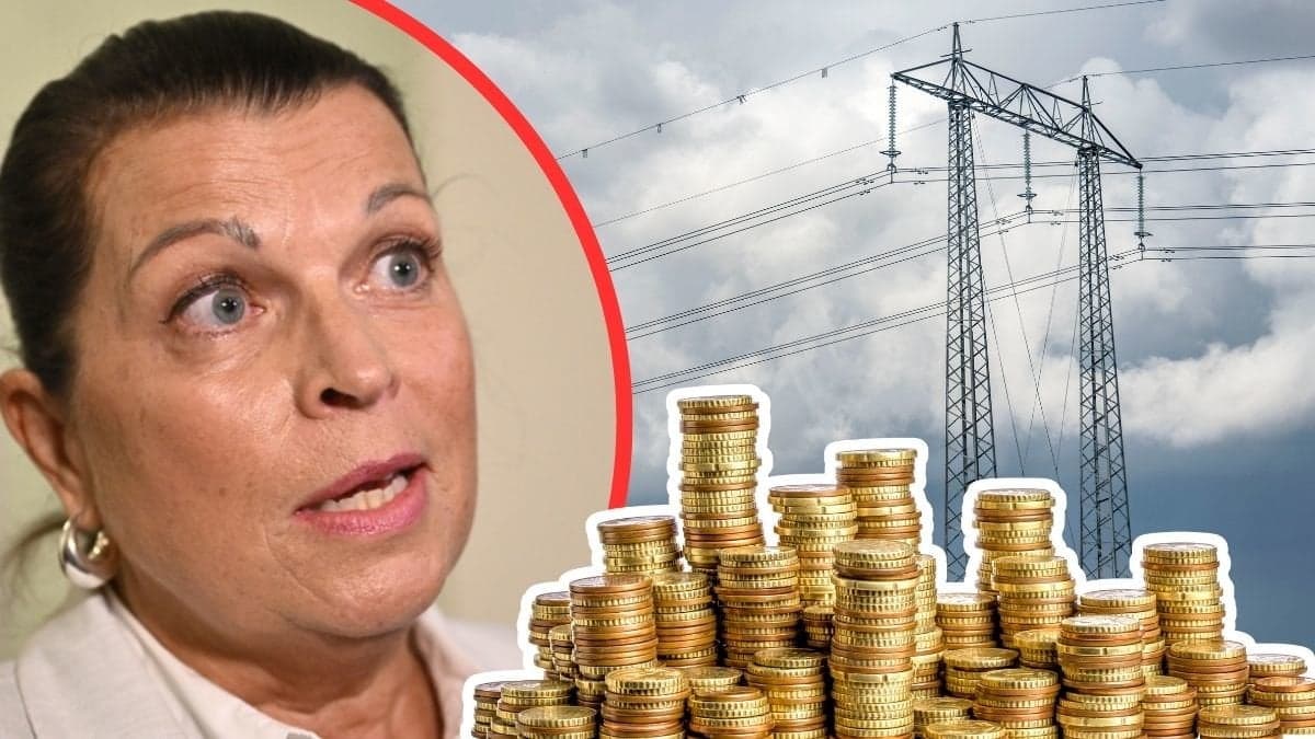 Annika Viklund och elledningar