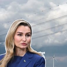 Ebba Busch, elnät, Sverige