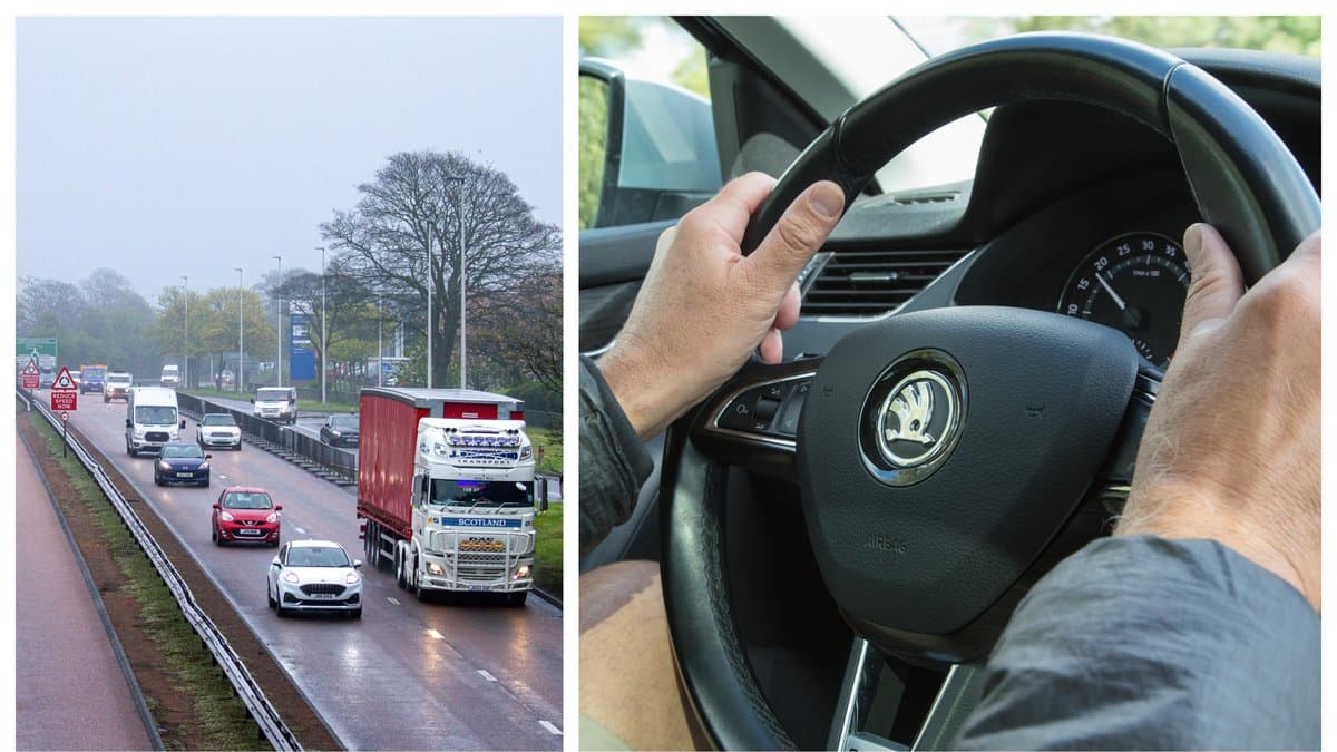 Bilderna är genrebilder.