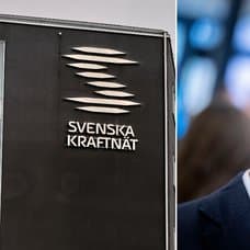 Generaldirektör Per Eckemark