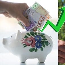 Spargris och skål.