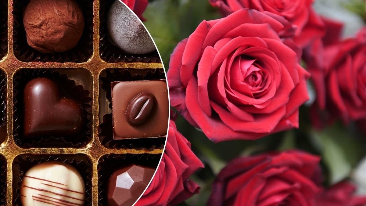 Bilder på rosor och praliner.