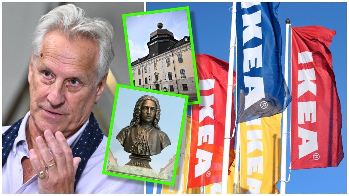 Lars Trägårdh, Gustavianum i Uppsala, Carl von Linné och Ikea-flaggor