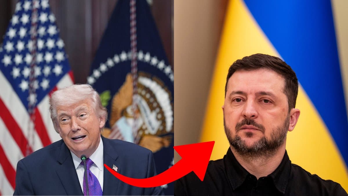 Donald Trump och Volodymyr Zelenskyj