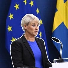 Politiker, proposition 