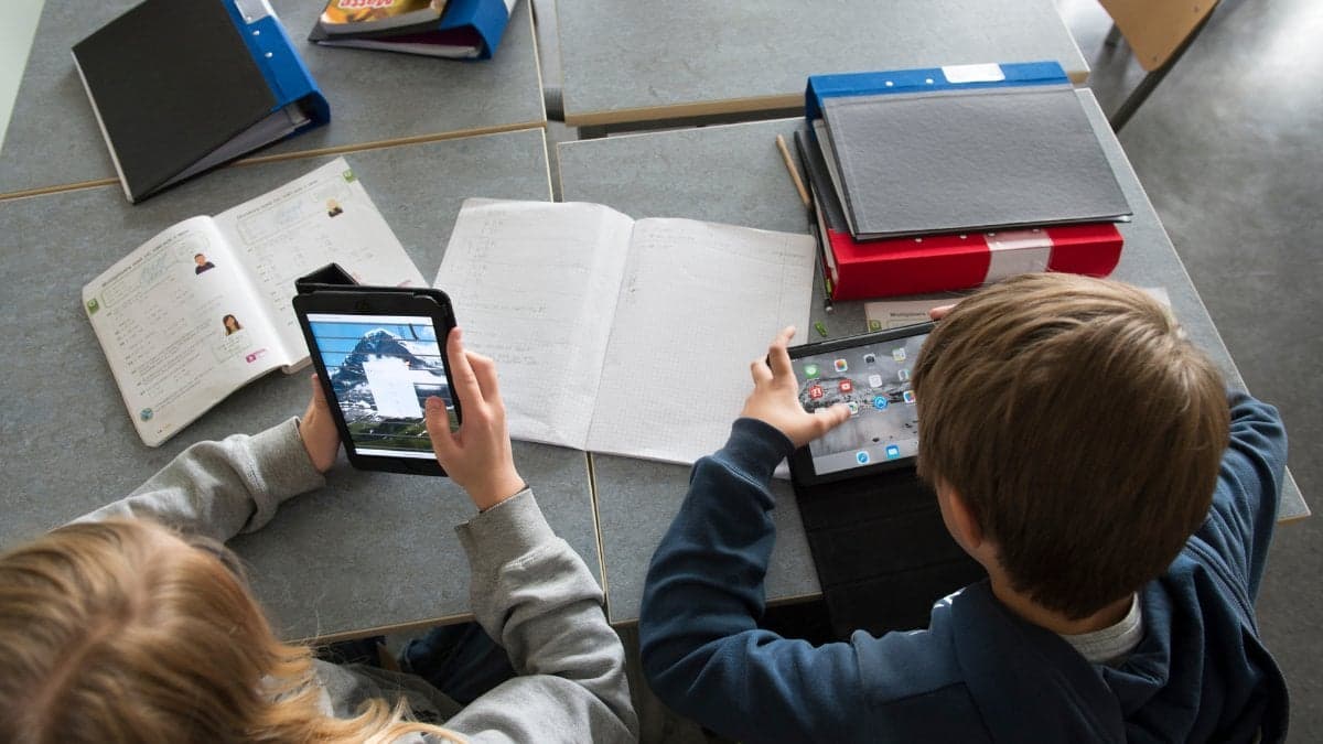 Skola, Elever
