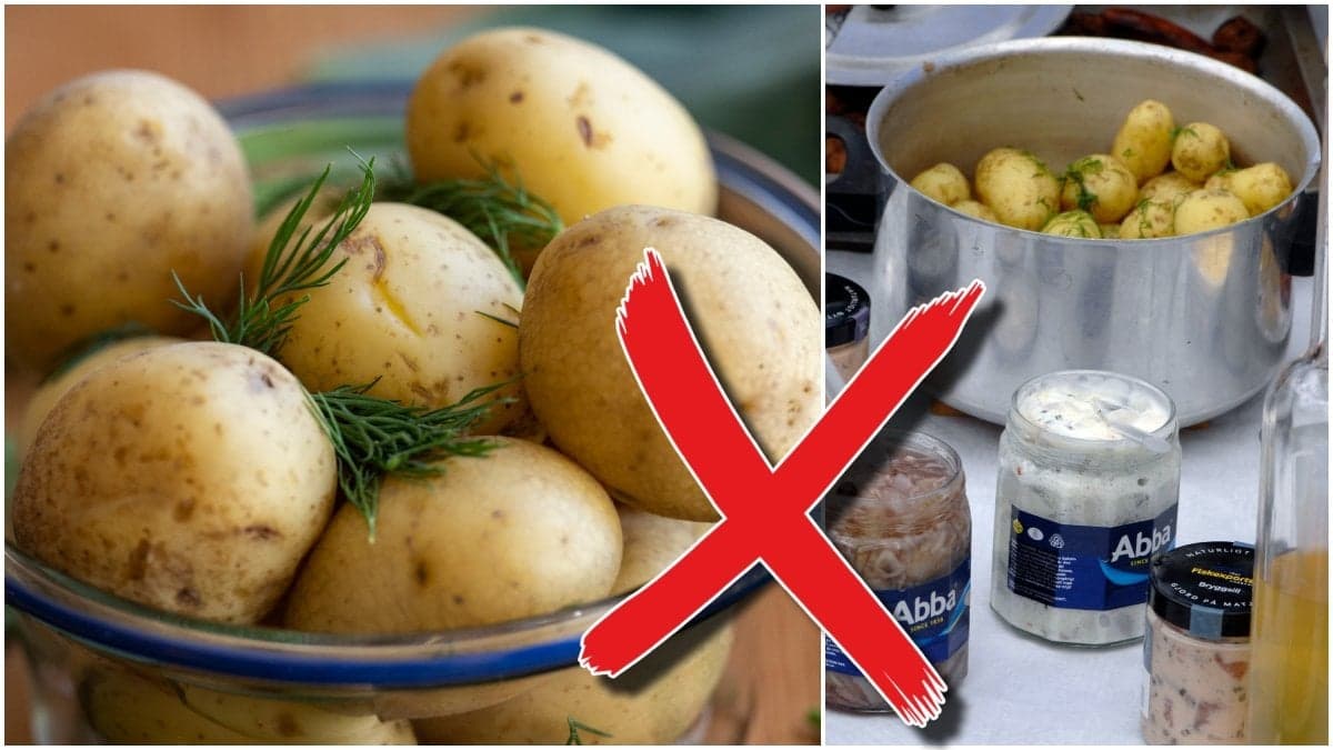 Färskpotatis, kokt potatis och sill. 
