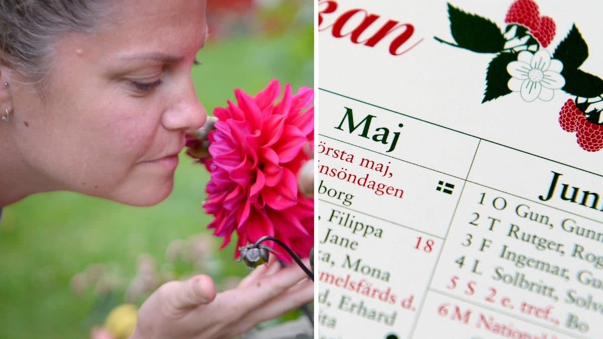 Kvinna doftar på en blomma i trädgården under sommaren och en almanacka.