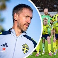 Graham Potter och svenska landslaget