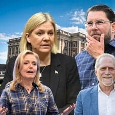 Partieldarna framför riksdagen