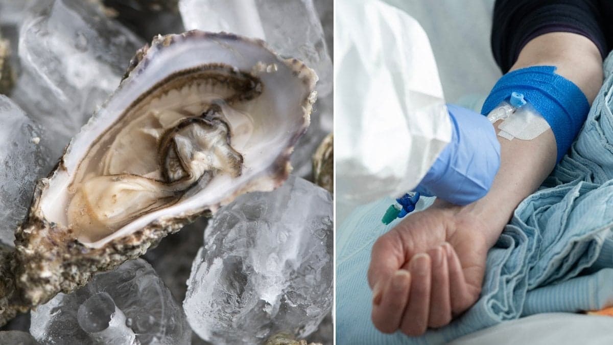 Bild på ostron och en arm med dropp.