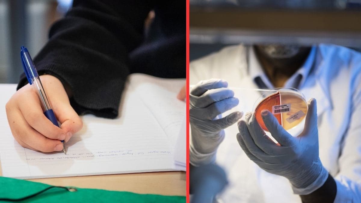 Skola smittspårning